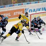 20191025 50270 VIC BWL JoPi