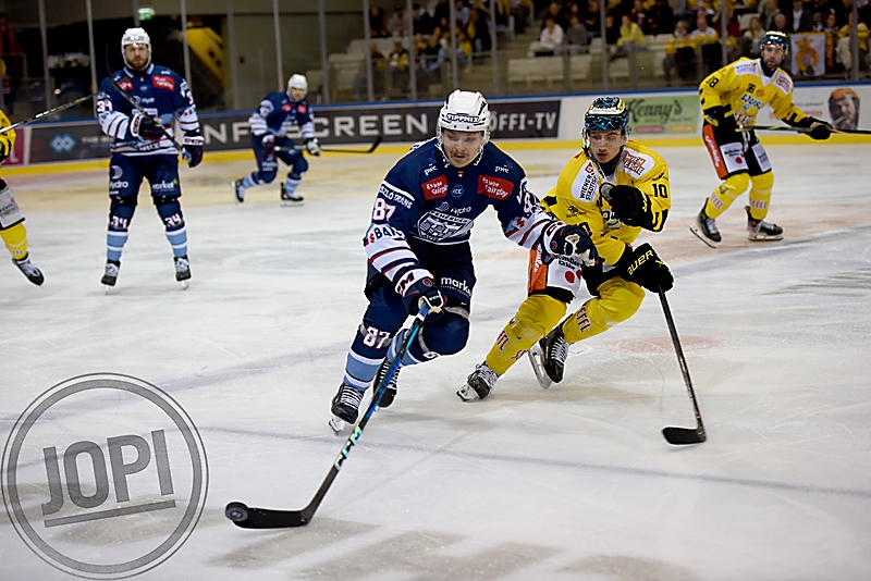 20241004_73816_VIC_Alba