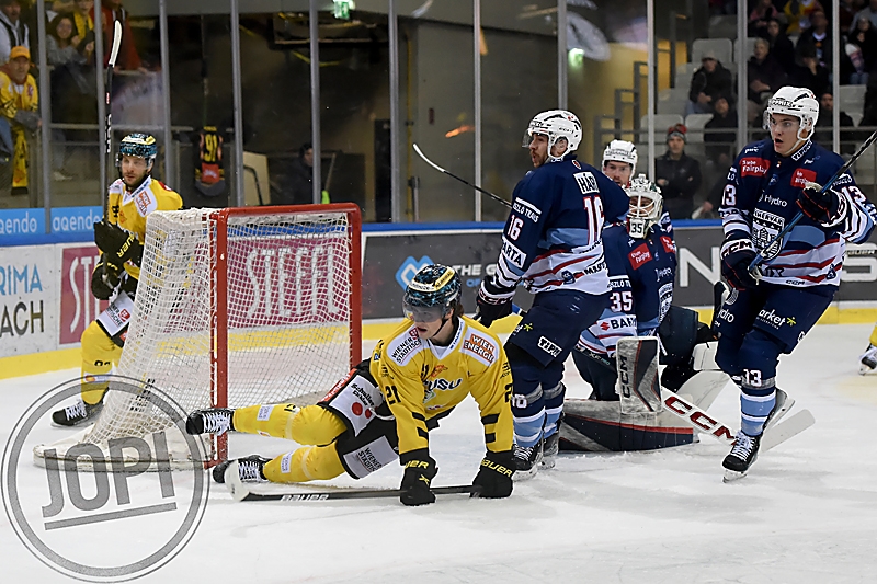 20241215_75461_VIC_ALB_JoPi