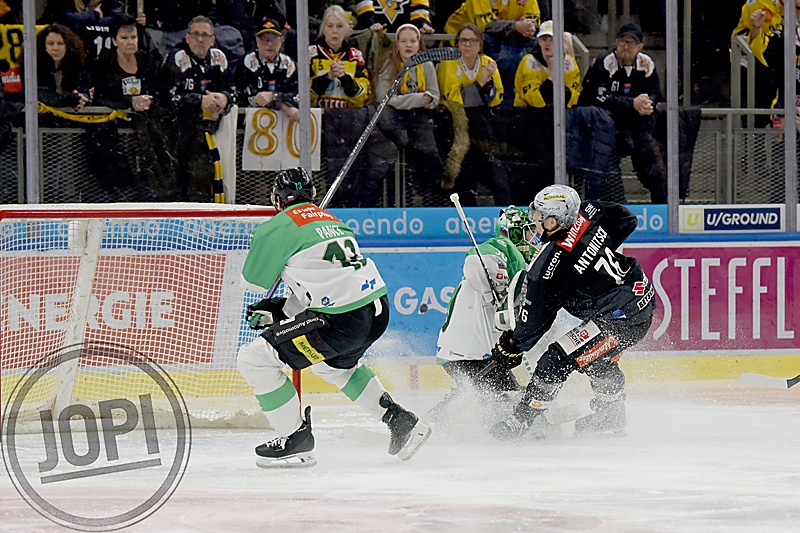 20260101_79717_VIC_Laibach