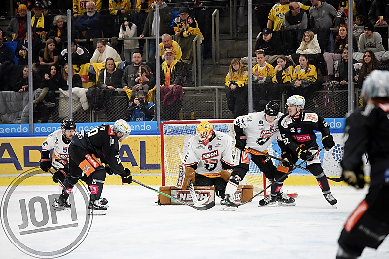 20260131_80478_VIC_PIO