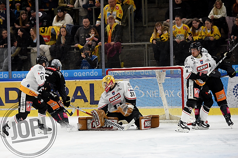 20260131_80481_VIC_PIO