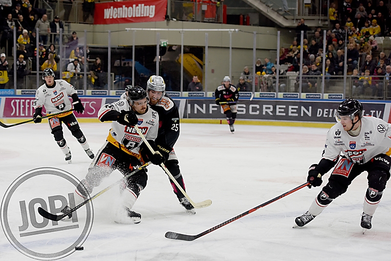 20260131_80483_VIC_PIO