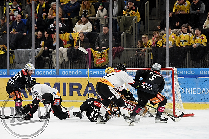 20260131_80499_VIC_PIO