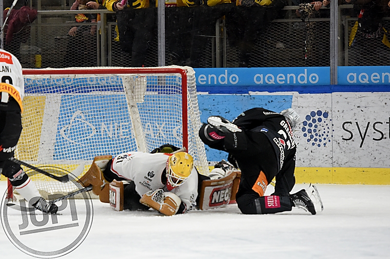 20260131_80503_VIC_PIO