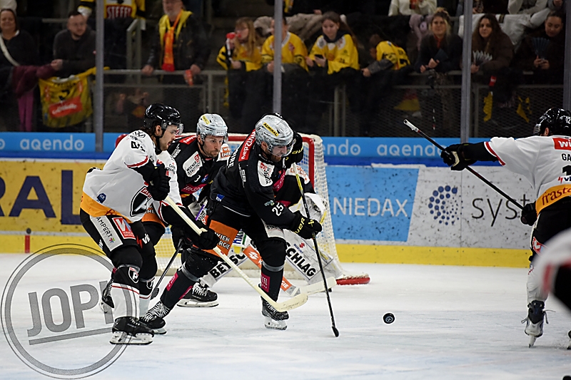 20260131_80537_VIC_PIO