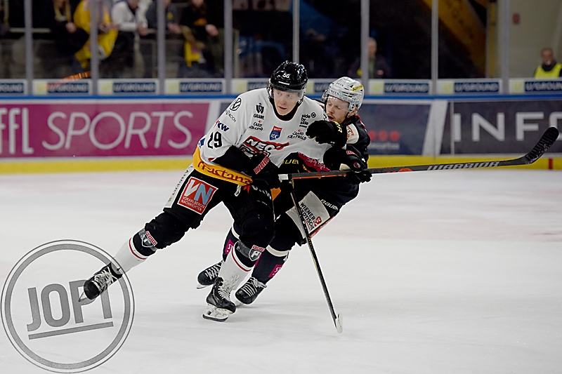 20260131_80538_VIC_PIO