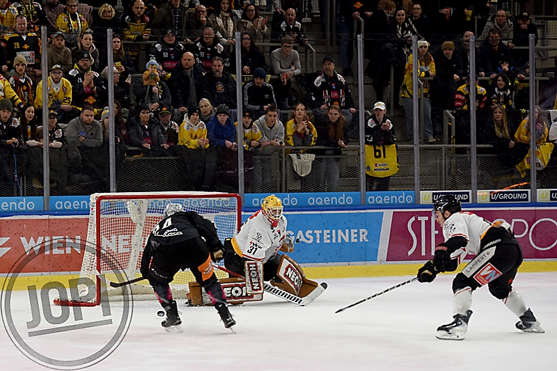 20260131_80540_VIC_PIO