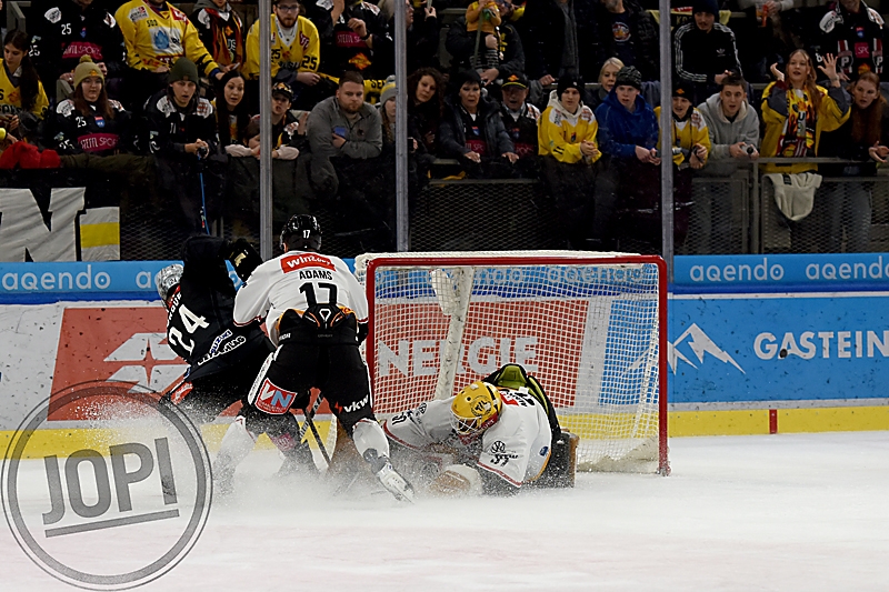 20260131_80543_VIC_PIO